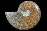 Polished, Agatized Ammonite (Cleoniceras) - Madagascar #88147-1